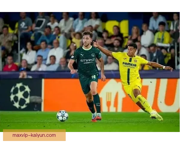 维蒂尼亚战术适配性